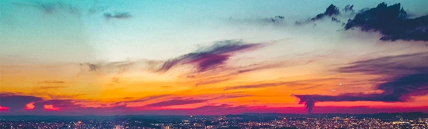 仙桃茶虫网_仙桃品茶